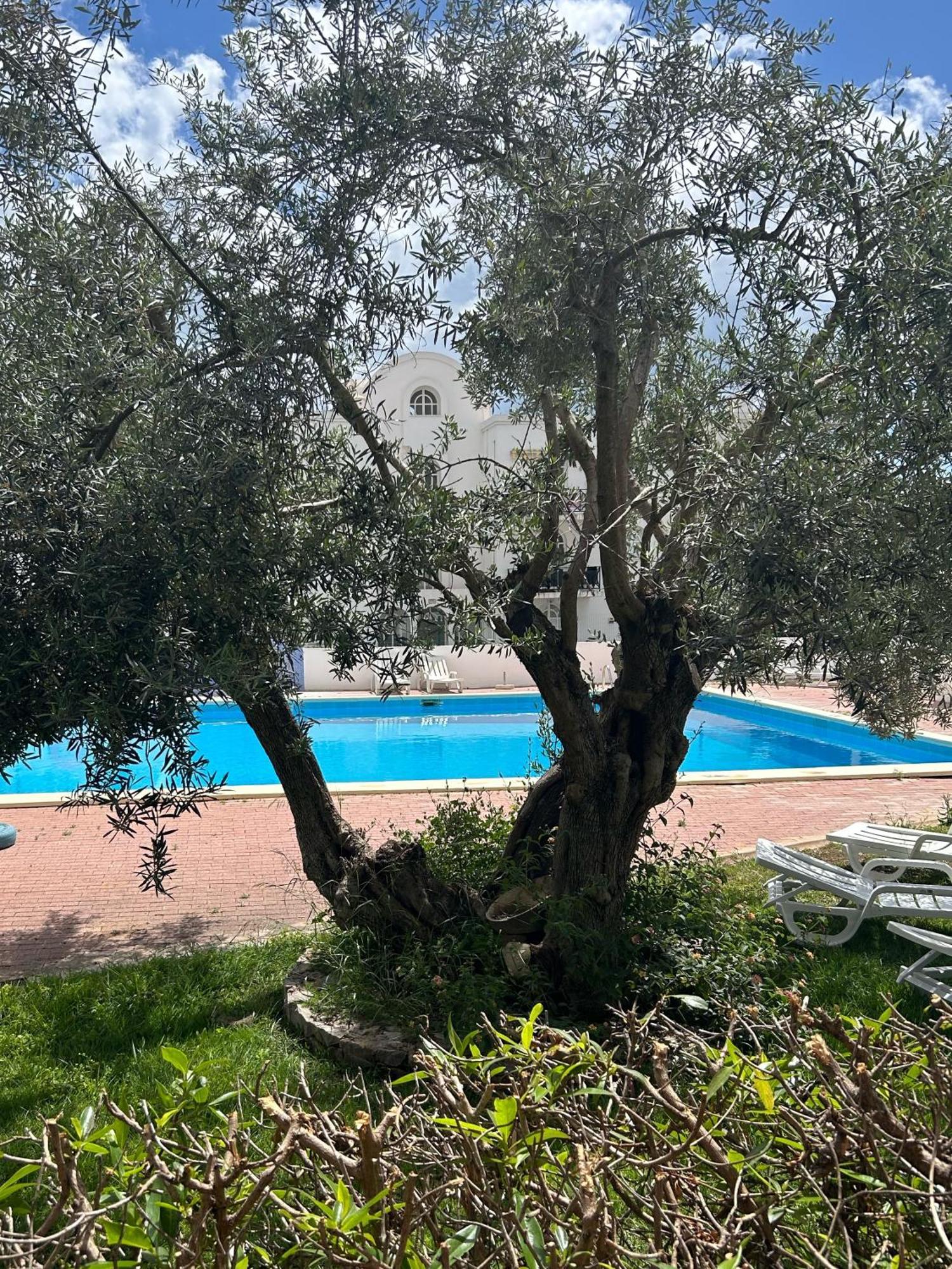 Apartament Tavira Garden 16 Zewnętrze zdjęcie
